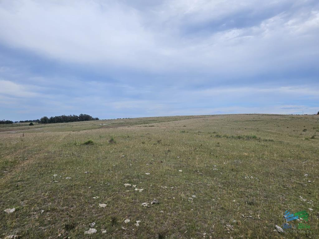 En venta chacra 3 hectareas, proxima ruta 39, a