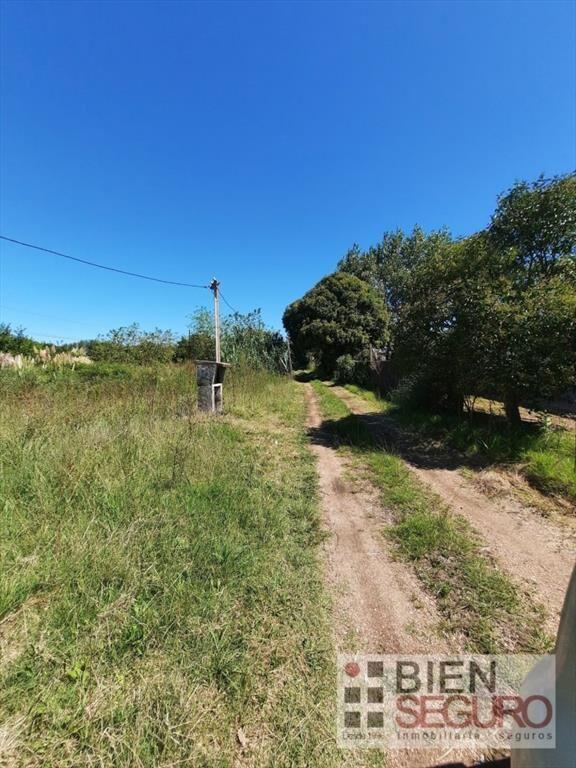 Muy linda chacra de 5,5 hás en venta Próximo a Osvaldo Rodr