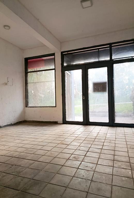ALQUILER LOCAL COMERCIAL EN PANDO