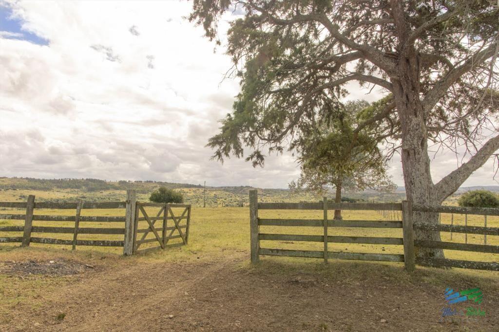 Estancia de 882 Has, campo mixto Ganadero - muy