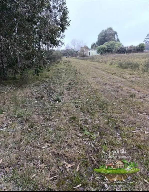 Se vende terreno en San Gregorio De Polanco