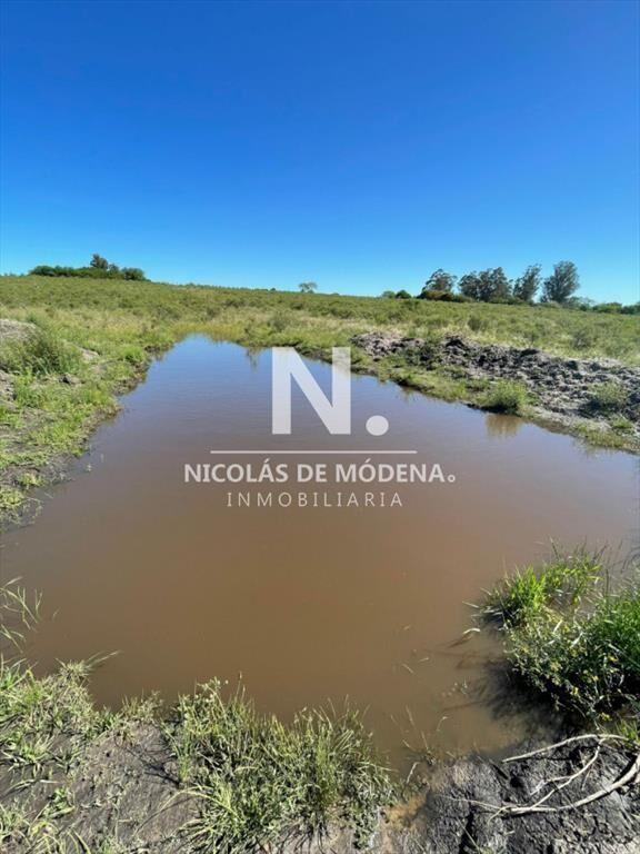 Chacra en venta en canelones. Oportunidad para