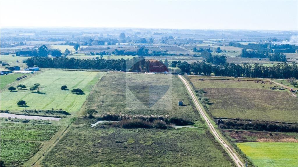 VENTA DE CAMPO 4 HECTAREAS CON TAJAMAR RUTA 75