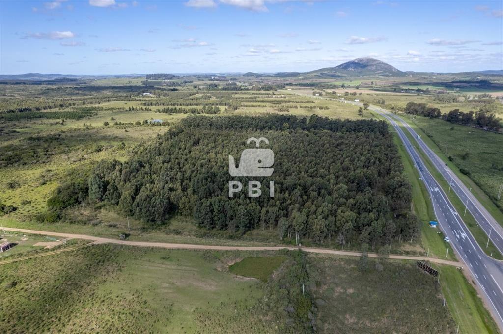 Chacra de 5Has sobre Ruta Interbalnearia, Las Flores - Ref