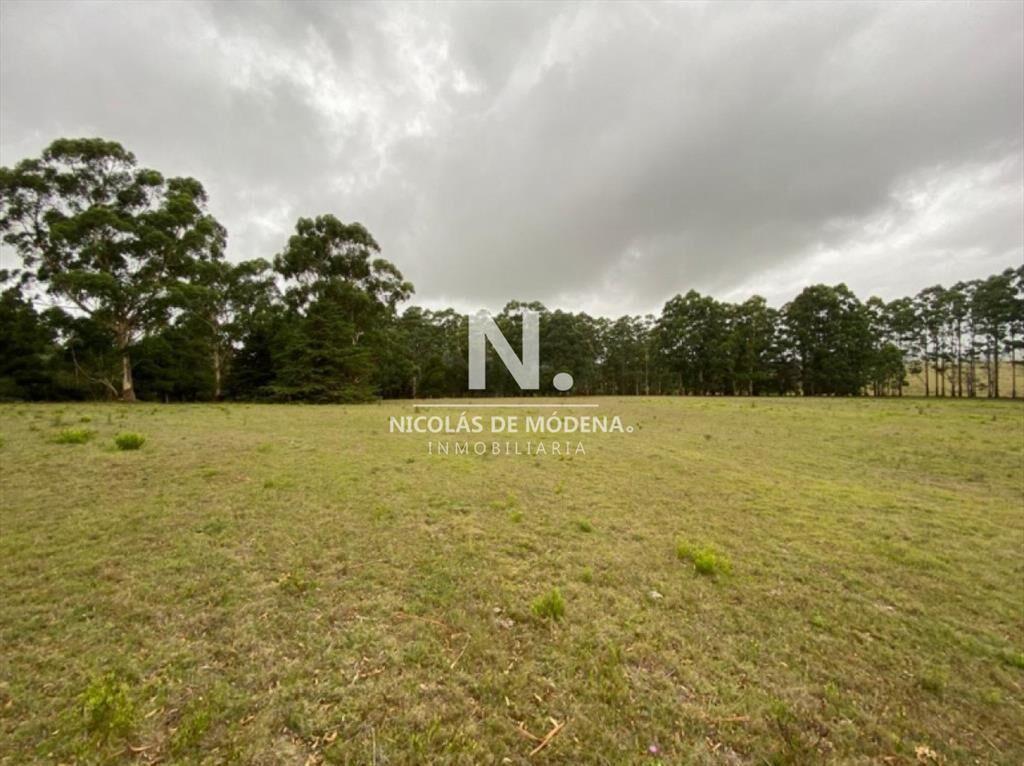 Campo en Ruta 104, 20 hectáreas