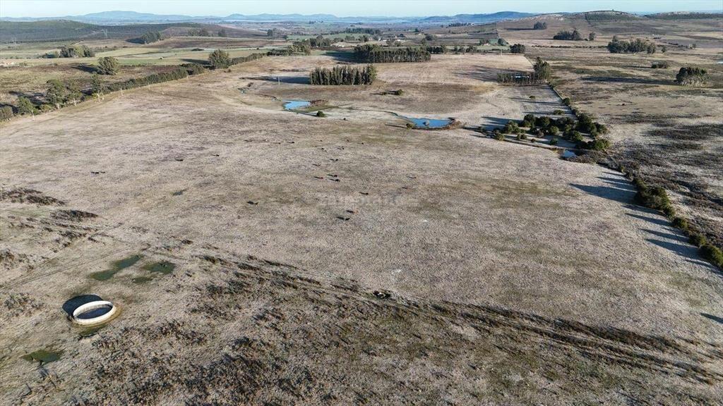 Chacra de 86 ha en Maldonado