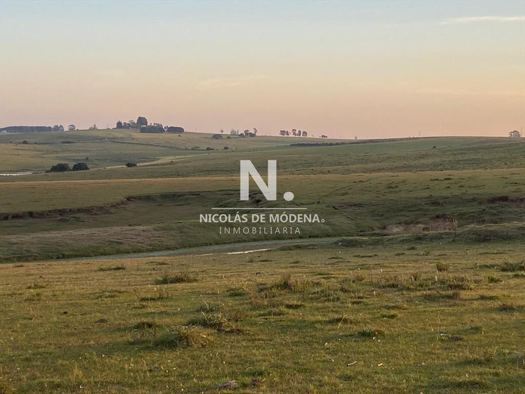 Campo en José Ignacio