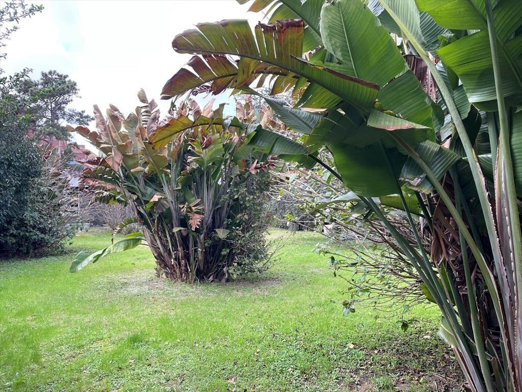 Venta Casa a reciclar Carrasco 1814m2 terreno