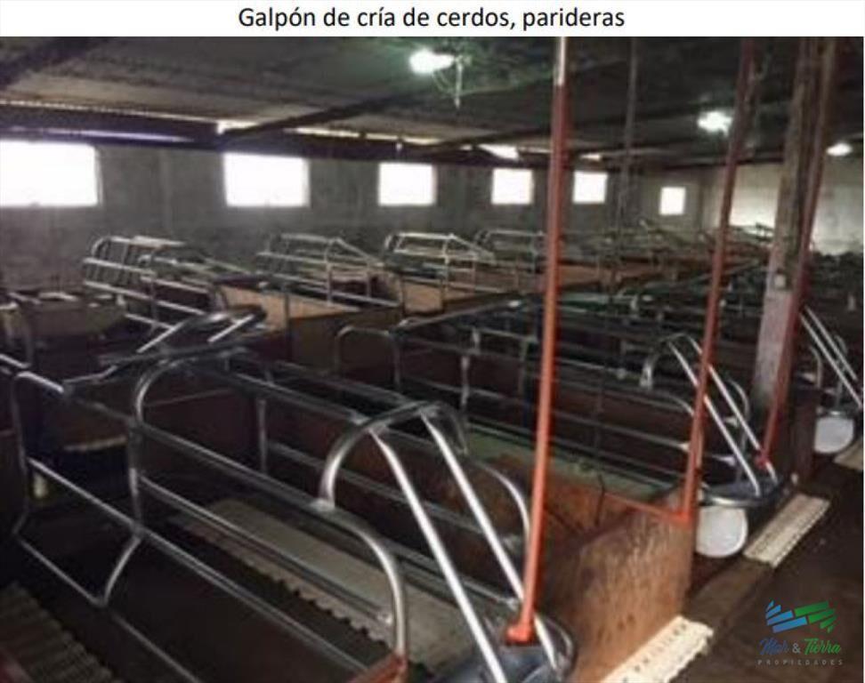 32 Has muy buena ubicación, suelos agrícolas a