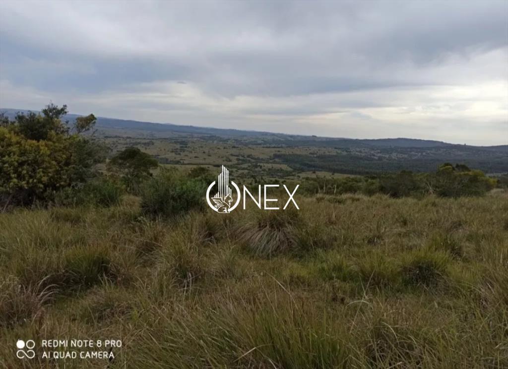 Oportunidad Venta de chacra de 7.8 Hectáreas en