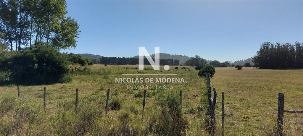 Venta fracción de campo en zona La Pataia