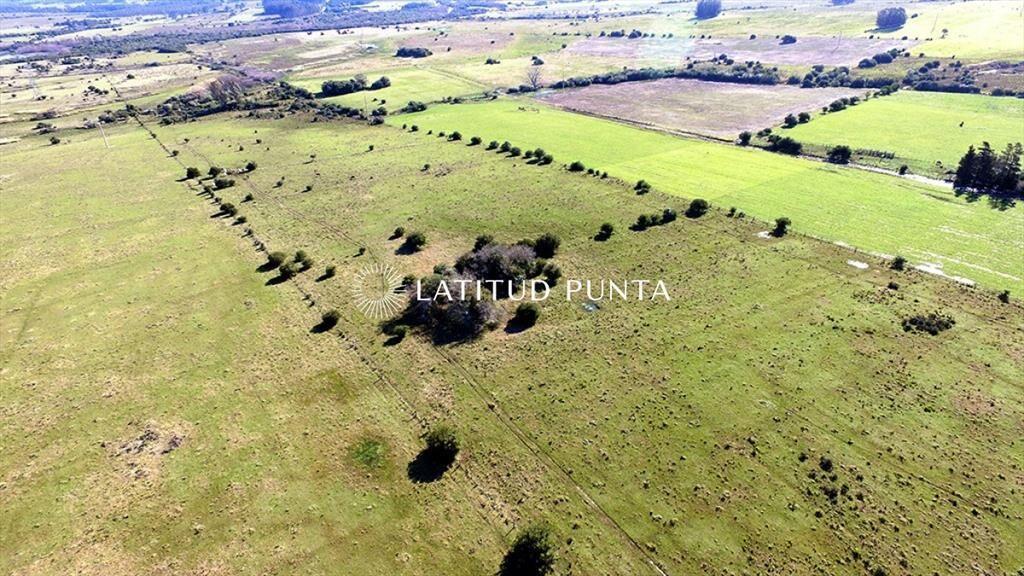 Campo de 22 has próximo a San Carlos y Punta del