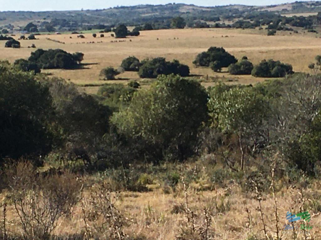 47 Has a 20 minutos Jose Ignacio y 3 kms de R.9