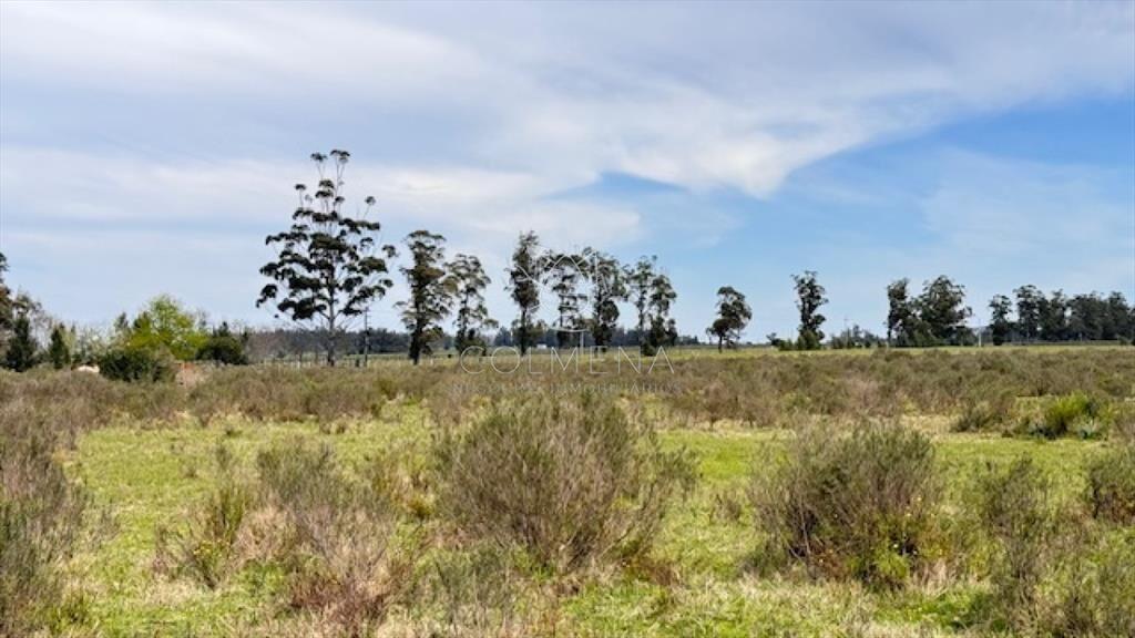 Campo 22 has con costa de arroyo ideal para