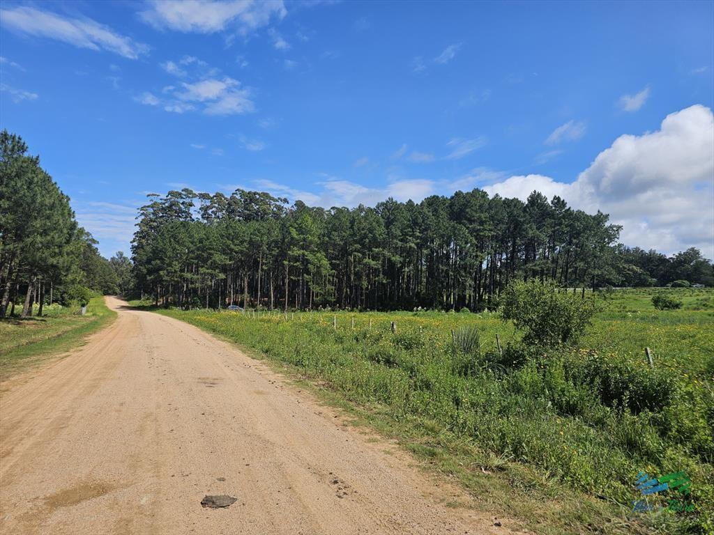 Venta de terreno de 4.000 m2 en las Silvias Punta