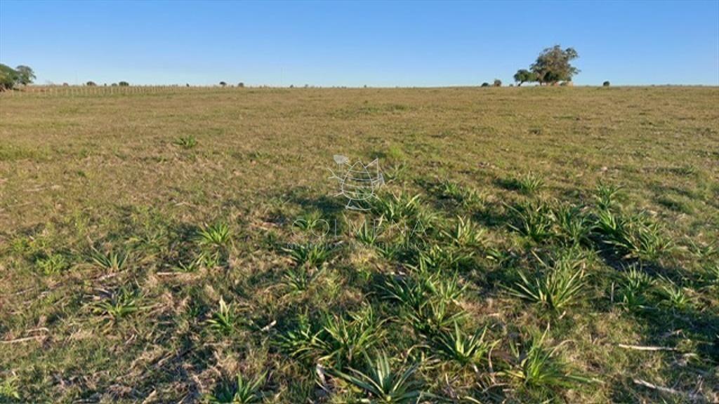Campo 5 has cerca de la  R 104 y entre camino