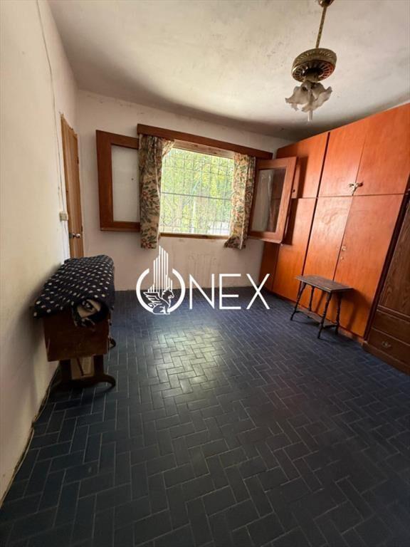 Se venden 3 casas en un mismo padrÃ³n en El Pinar