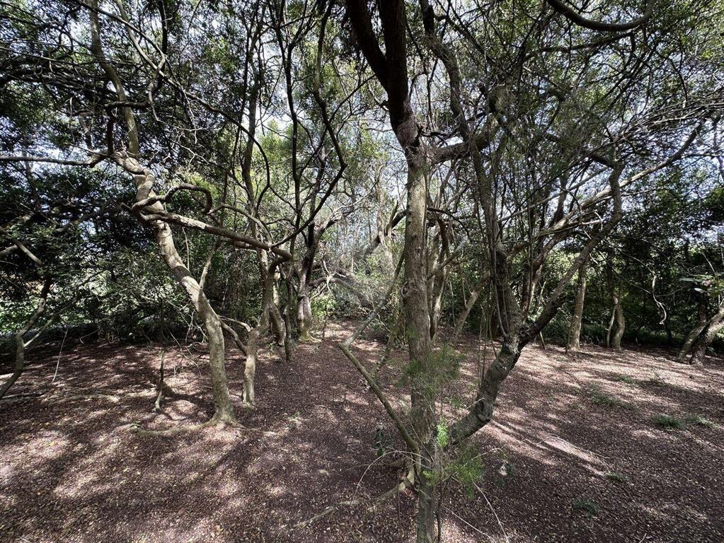 Venta Chacra Maldonado - Un lugar único que invita a descub