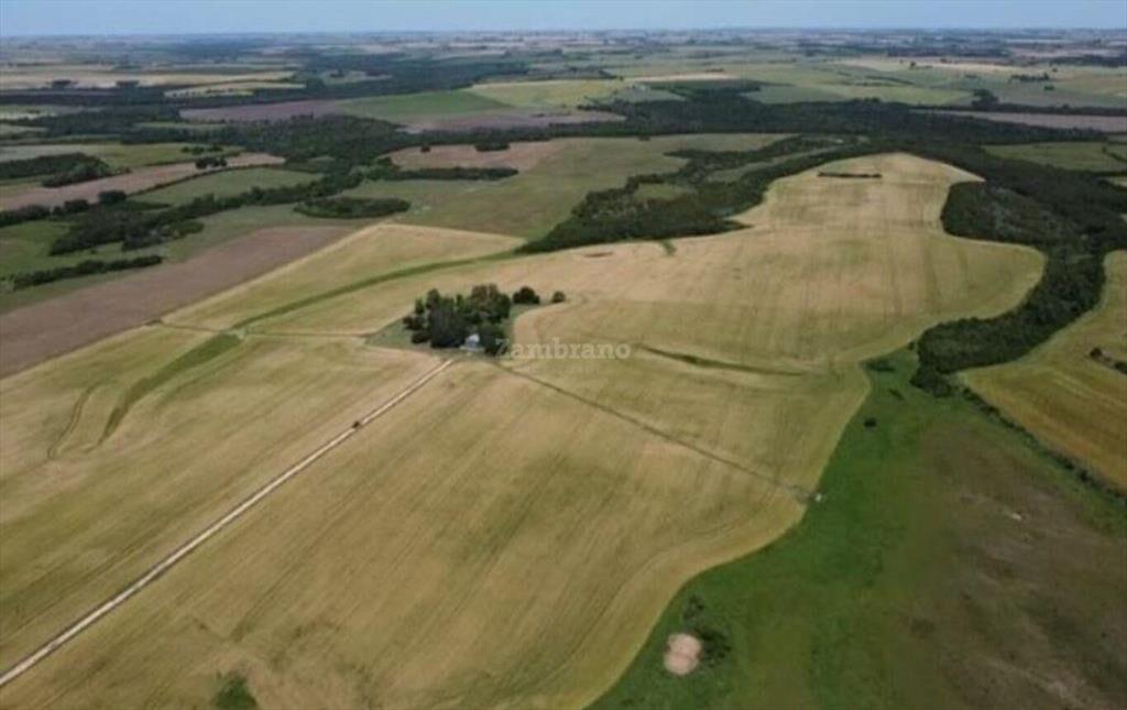 Establecimiento Agrícola Ganadero I Colonia I Ha: 224. IC: