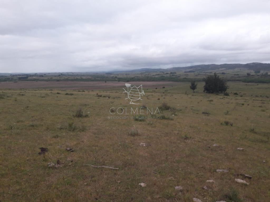 Campo de 47 has en Paraje los Caracoles - !!!!!