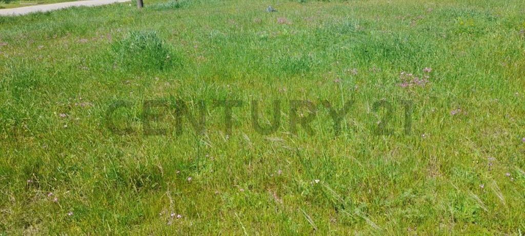 VENTA/Monoambiente En Terreno de 538 m2/Ruta 1 k 29/Ciud...