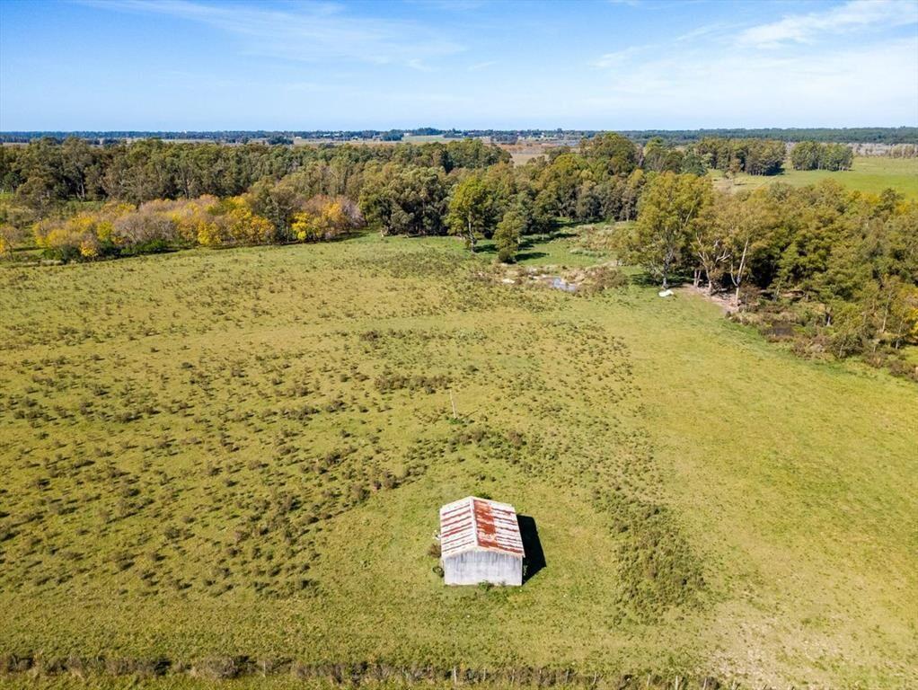 Venta de campo con 6 Ha. en Rincón de Pando