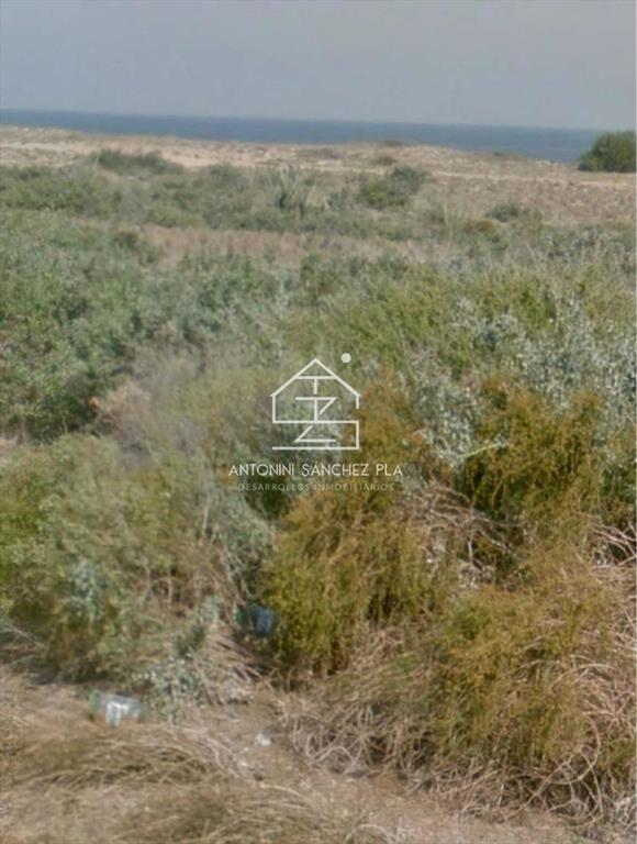 Terreno En Venta Frente Al Mar, Sauce De