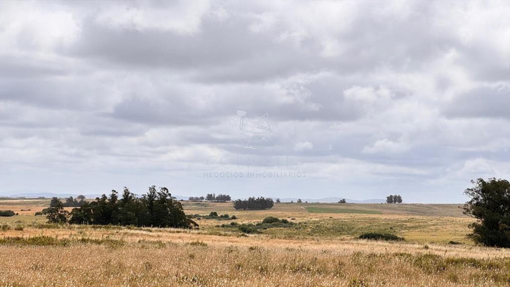 Campo 64 has en paraje Jose Ignacio