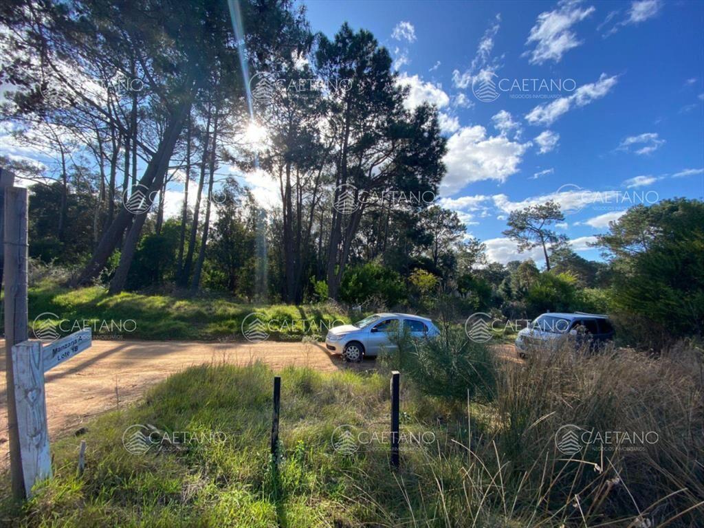 Terreno en barra verde