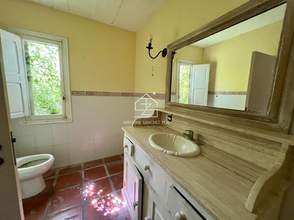 VENTA CHACRA DE 3 HECTAREAS PUNTA BALLENA