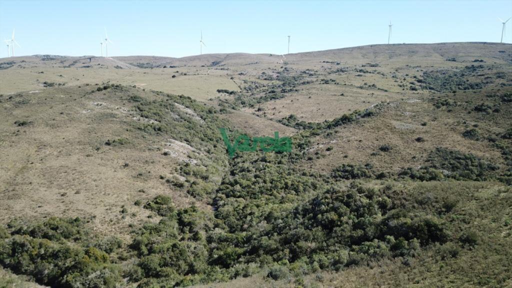 Campo de 86 has a la altura del km 58 Ruta 39