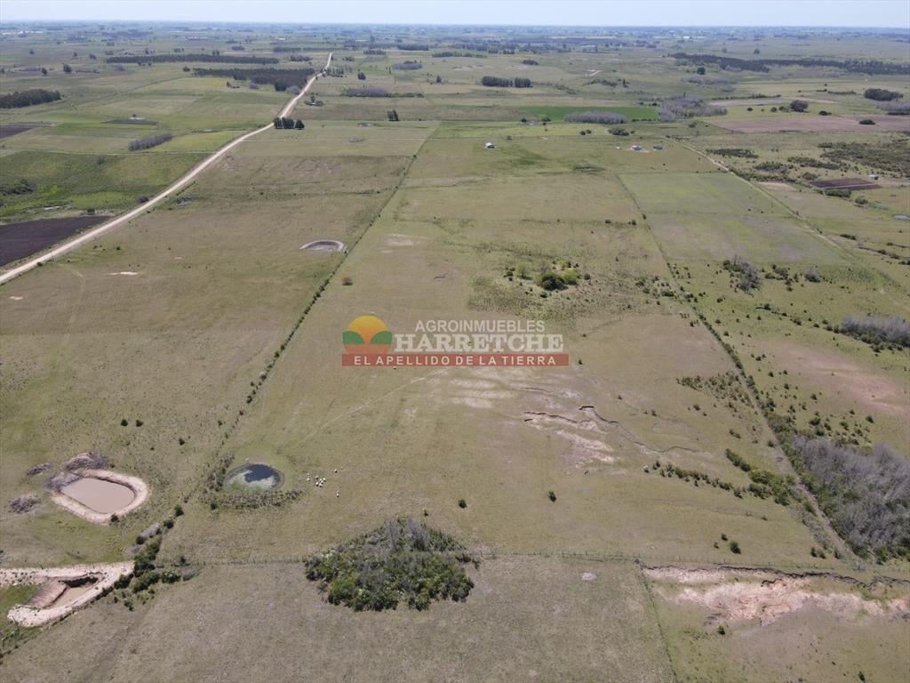 Campo en venta 19 has en Tapia, 2 casas, a 15 min