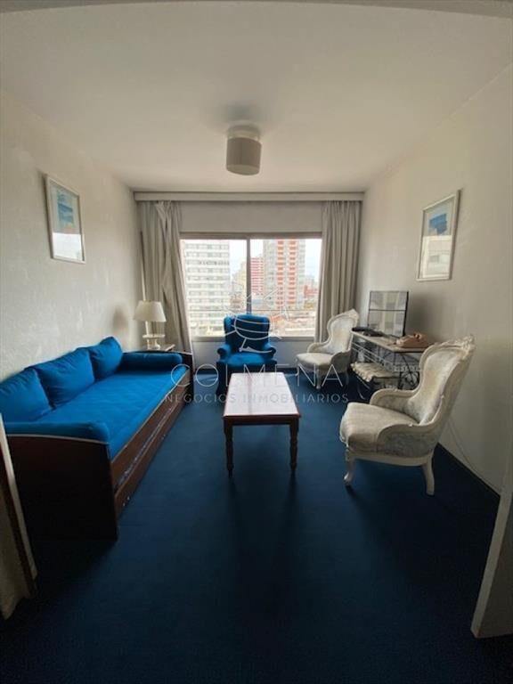Apartamento de 1 dormitorio en peninsula Santos