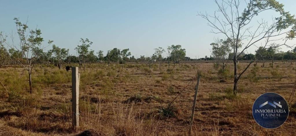 Campo en venta de 9503m2 ubicado en Santa Monica