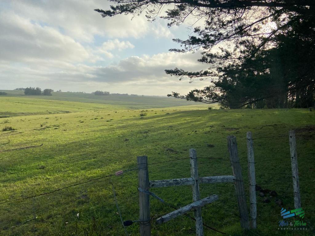 Precioso Campito de 80 Has a 15 minutos del mar y