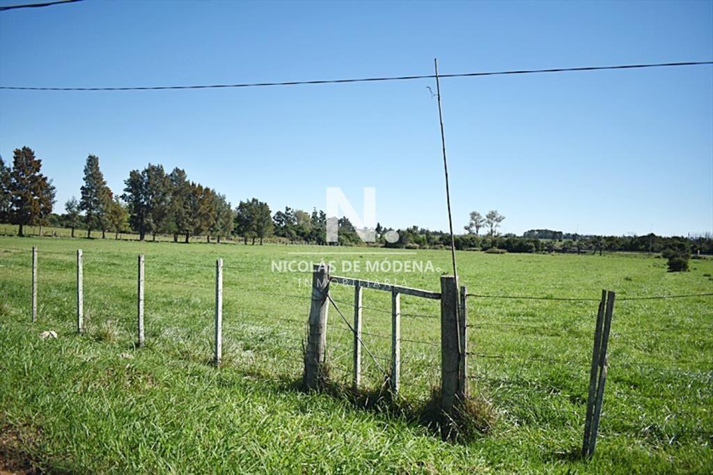 CHACRA SAN CARLOS RUTA 9