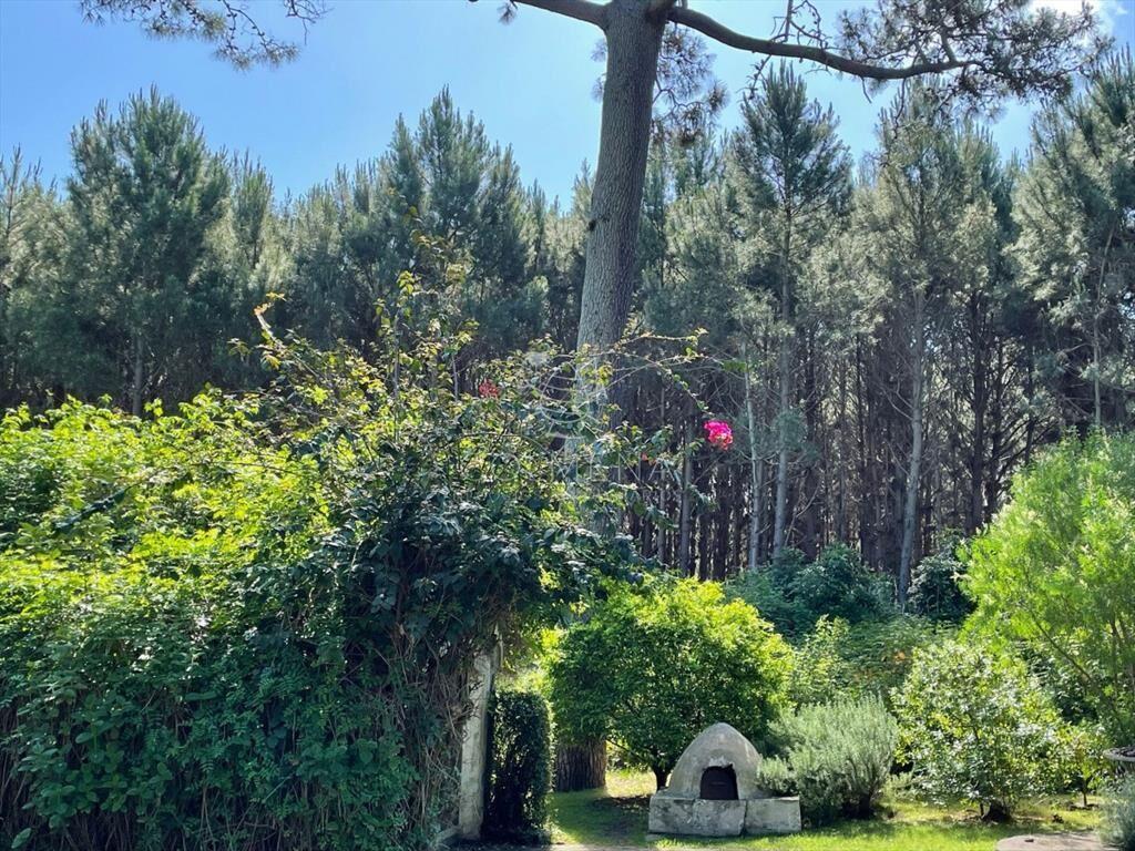 Casa en solanas - Punta Ballena