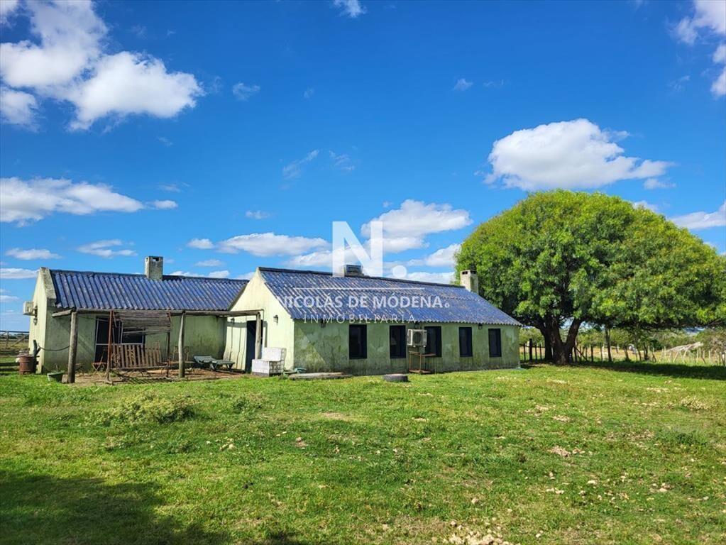 Vende Campo en Lavalleja de 1075 con casa y de