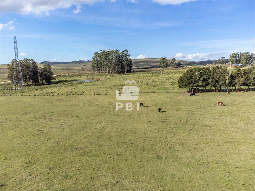 Chacra en venta en Laguna del Sauce, Punta - Ref