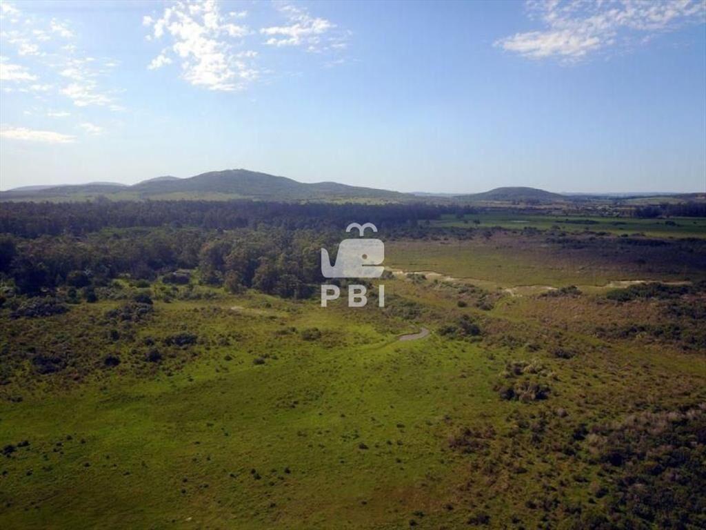Chacra en venta Punta Negra  - Ref : PBI589