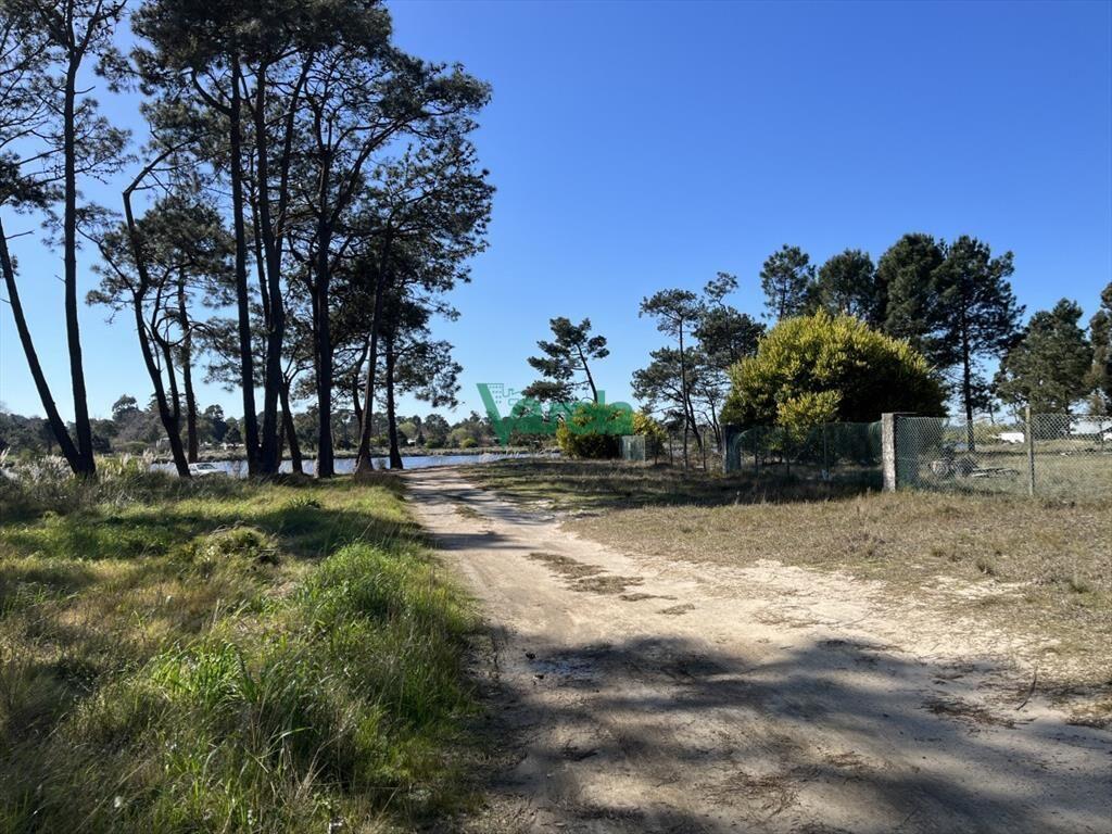 Terreno de 5608 m2 Pinar Sur , en venta .