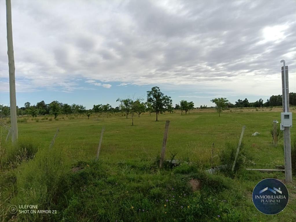 Campo en venta de 9503m2 ubicado en Santa Monica