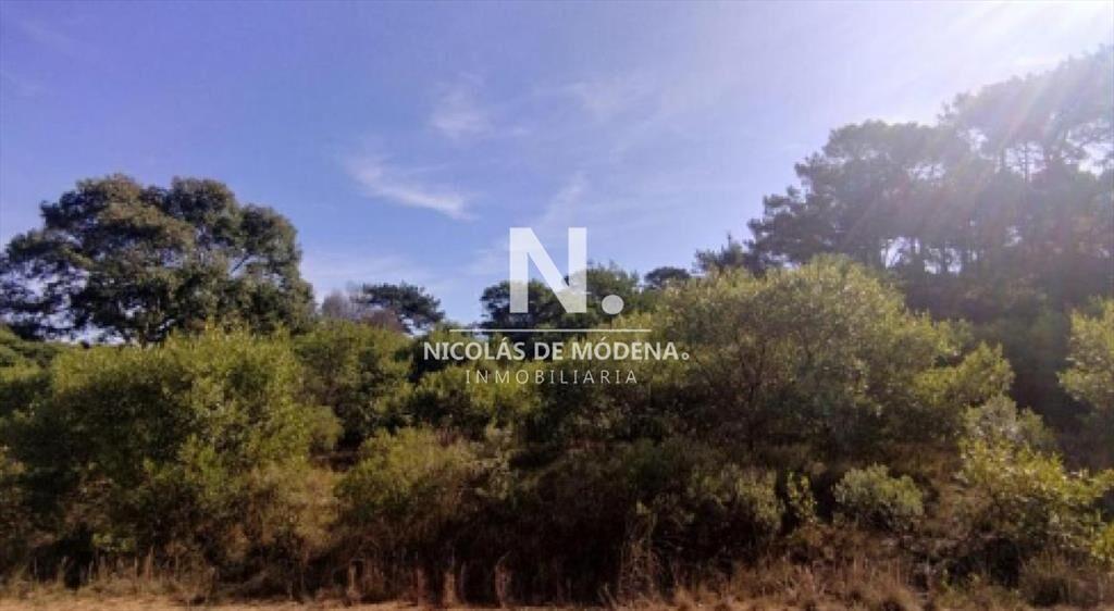 Vende terreno en Club del Lago Punta Ballena