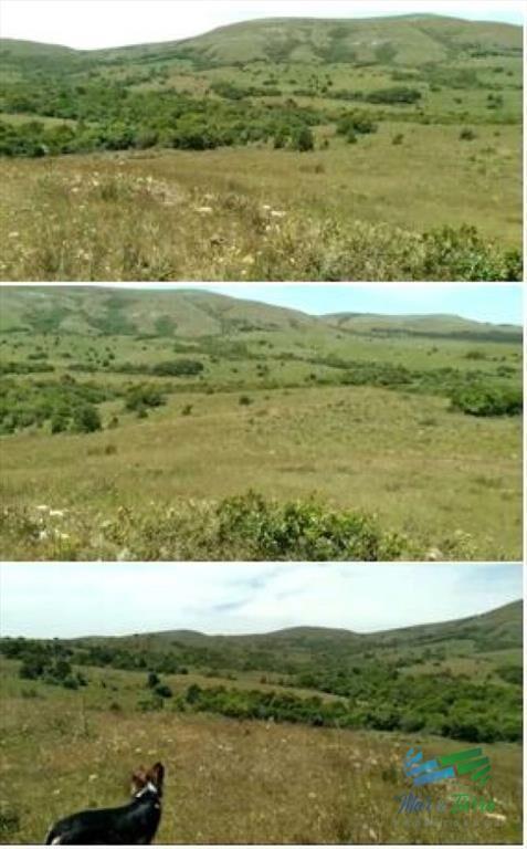 Linda fracción de campo ganadero con aptitud