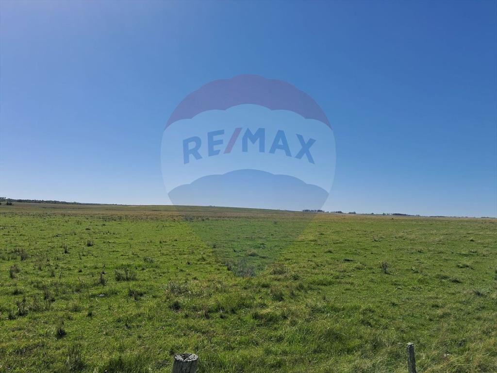 Venta Campo Río Negro - Ganadero Agrícola 350 has