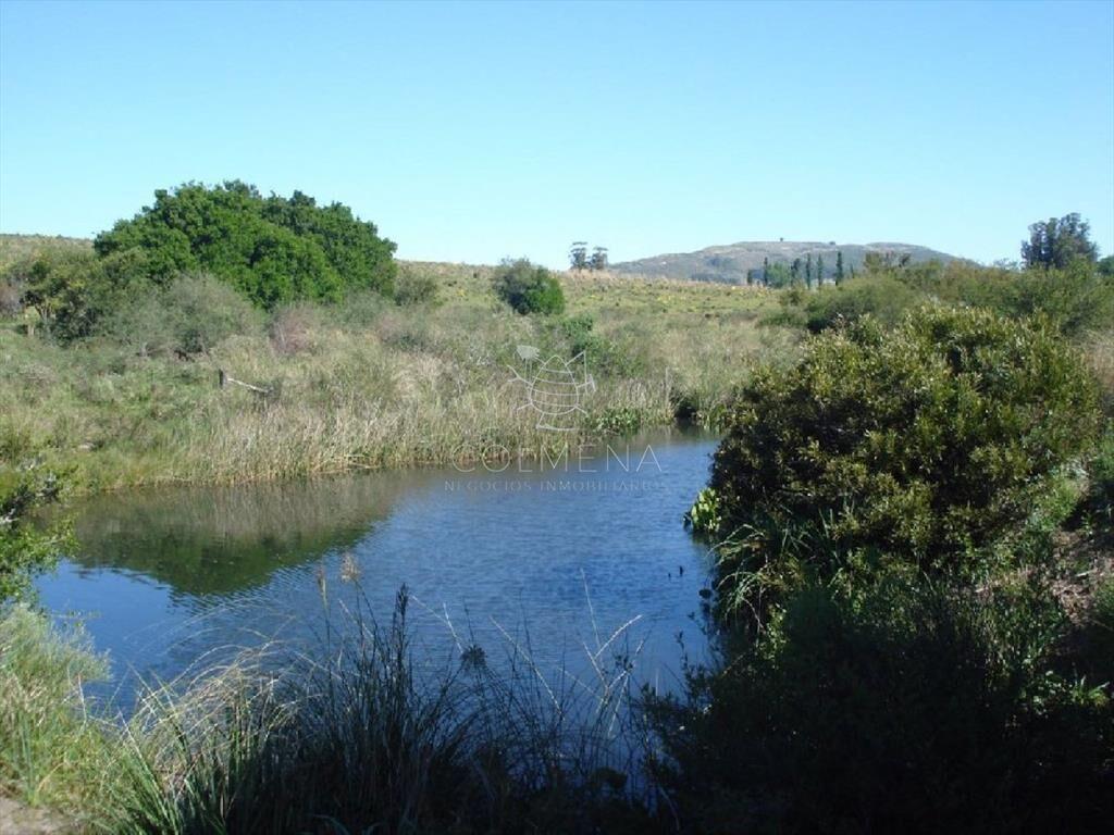 Campo 98 has con 2891 m2 en Carape cuenta con de