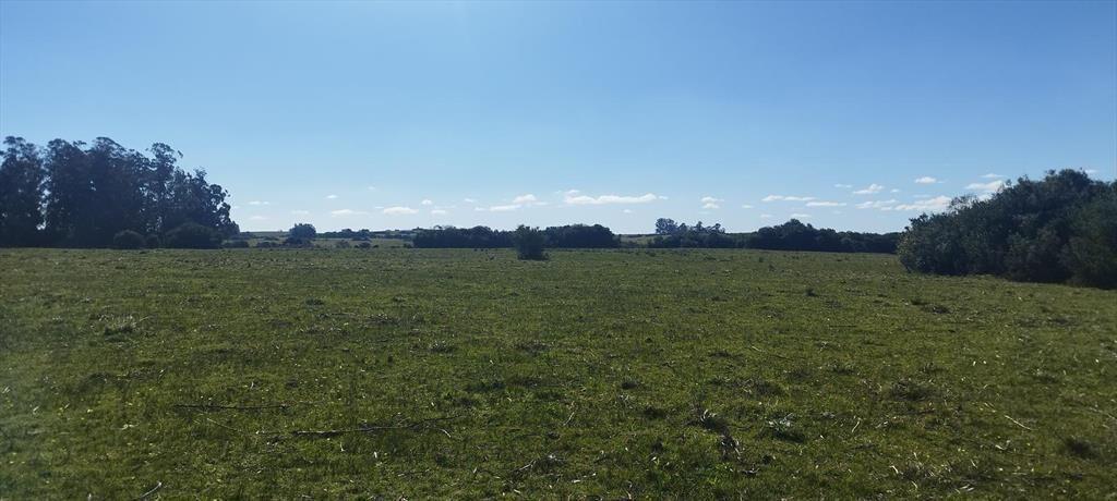 Chacra Paso del Tigre - San Carlos - Maldonado