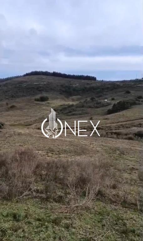 SE VENDE CHACRA DE 5 HA EN LAVALLEJA