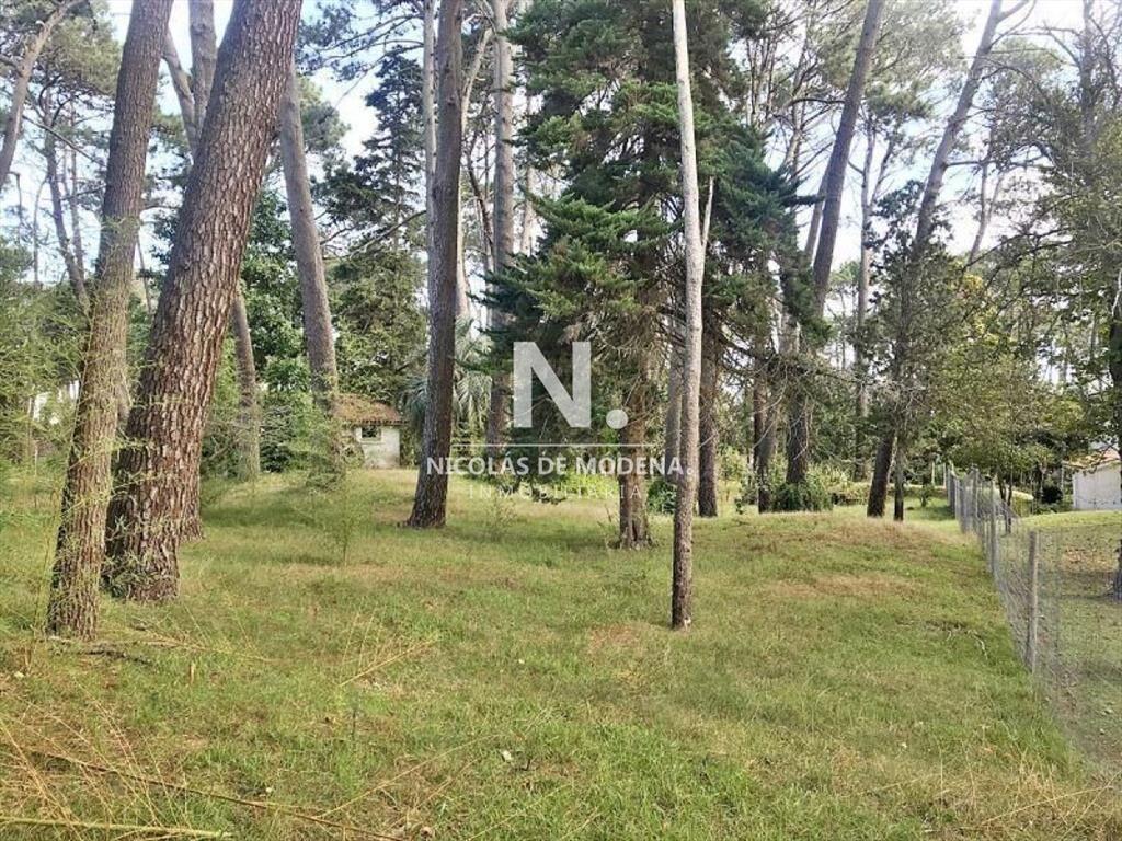Terreno en venta Cantegril