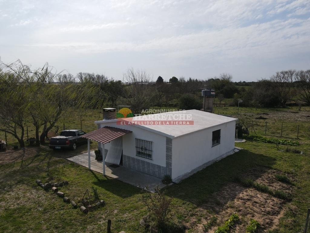 Chacra en venta Los Cerrillos, 1 has con casa de